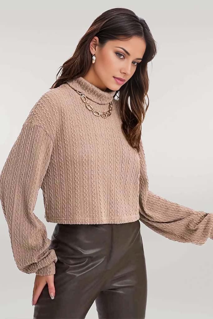 Cozy Up Turtleneck Top