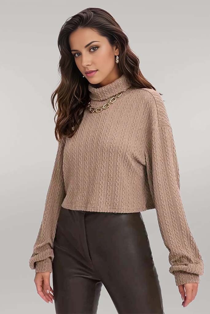 Cozy Up Turtleneck Top